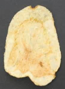 WP potato chip jesus