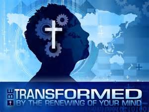 WP transformed mind