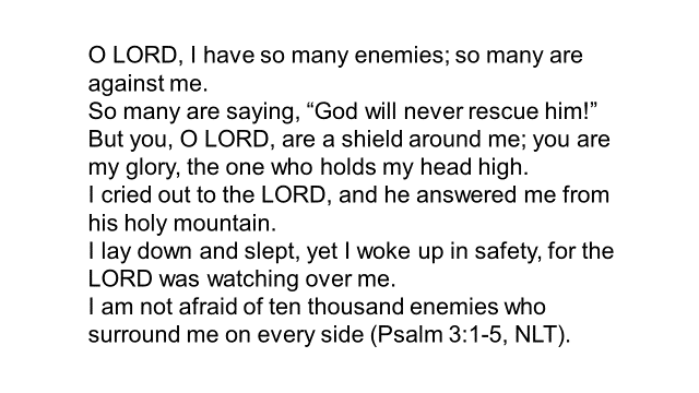 wp-psalm-3