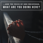 2033DEDC-94E4-463D-8FF4-FF6574DC2082