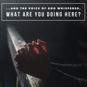 2033DEDC-94E4-463D-8FF4-FF6574DC2082