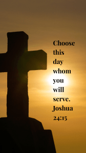 3F66BF43-4054-4BF6-8BCF-0DDD97E8D327