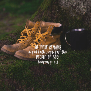 517D87EB-FAC6-4F14-81BF-9A2988C454A9