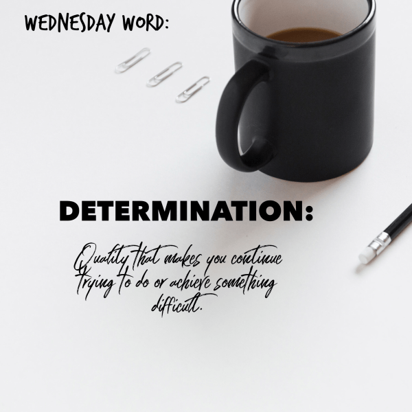 CB9D0674-1110-4B2D-90DB-46F76DA8CA3F