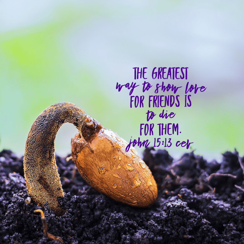 2A165ECD-CBF9-4EF5-9C6C-FA6CE4220F63