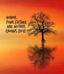 528A6CED-C91D-4E6F-8816-4DB6F01B6554