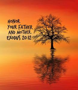 528A6CED-C91D-4E6F-8816-4DB6F01B6554