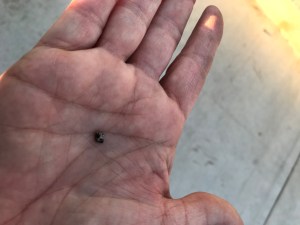 00D1AA2C-7541-458B-9F99-9731A03EB3FA