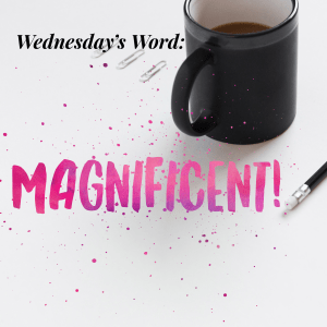 1D2D74C2-9D90-4CF0-A525-2D1DE34BDC70