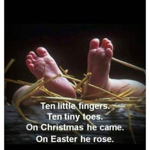 DAB2EEF5-E7BE-4F9D-99E4-ECBD0BF65A0B