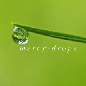 B3D5783F-FA58-40F2-95FF-75E06A2FAB94