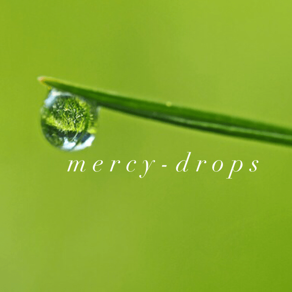 B3D5783F-FA58-40F2-95FF-75E06A2FAB94