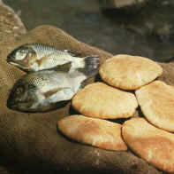 AFD2A2BB-4314-4037-AE2A-FEFE30A29879