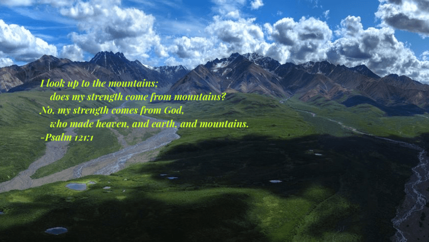 00A6A86B-973B-4F67-9AAB-A0CE1E4443D4