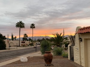 F8225533-0EDE-4847-B8E1-9DE72BF71251