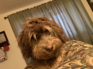 CC9CCB37-8B8E-425D-852A-88238474E6BA