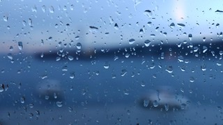 FC206BF1-92BB-470C-8B22-D4B87A1ECE50